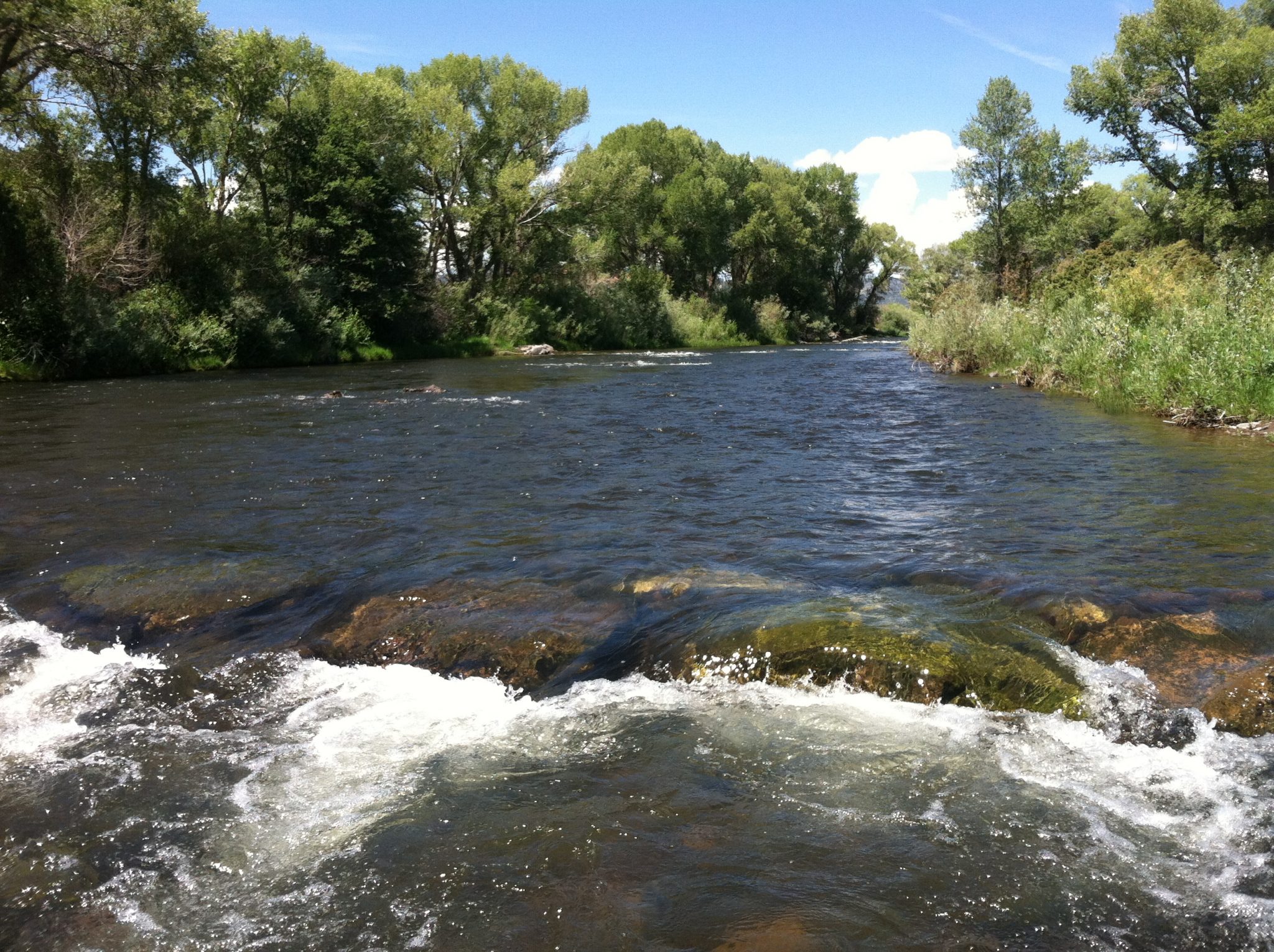 Southern Colorado Fly Fishing Trips on Private and Public Water | The ...